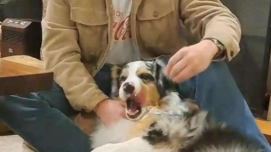 Tibo Gajardo (Arranger, Venezuela Strings Recording Ensemble)